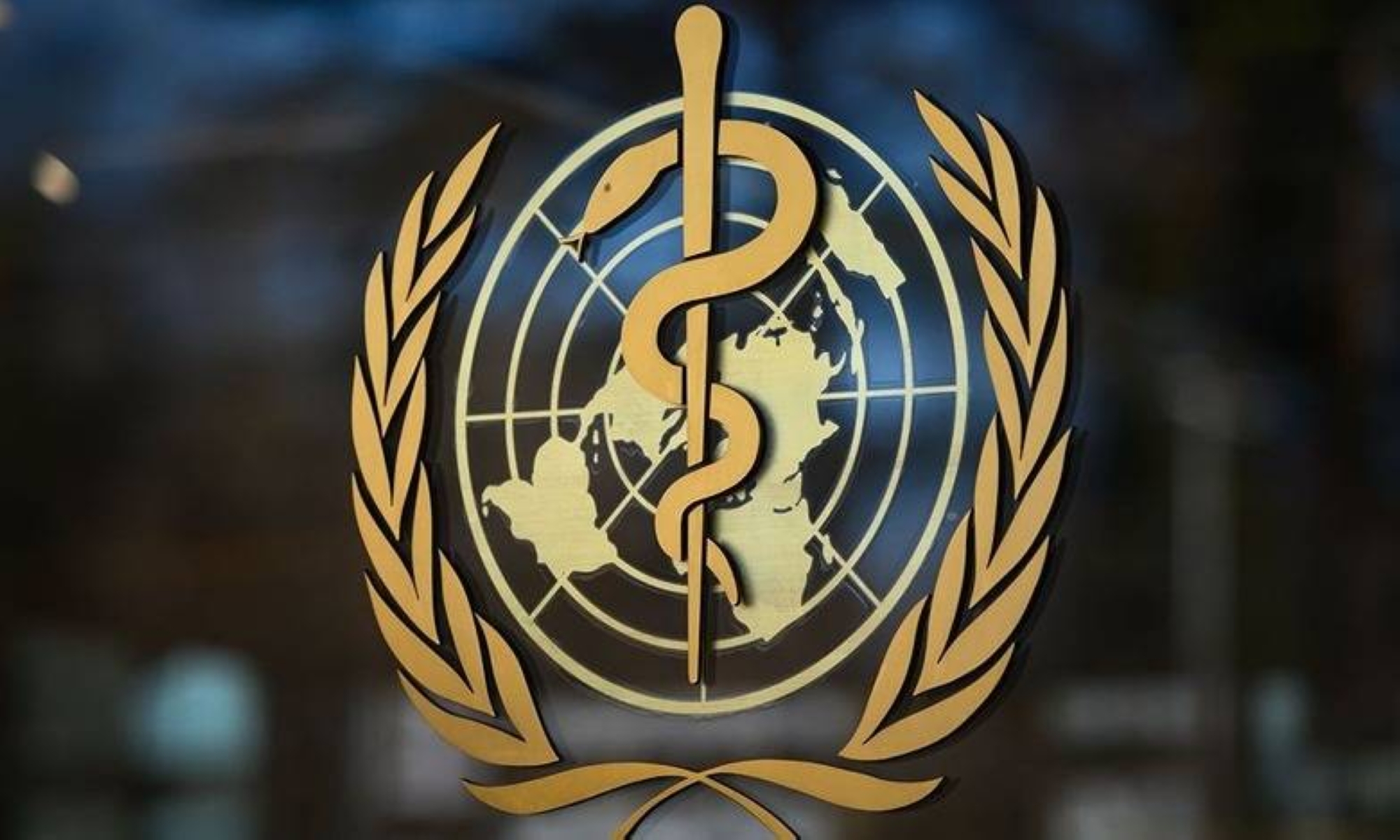 Les dirigeants mondiaux s’engagent en faveur de la couverture sanitaire universelle (OMS)
