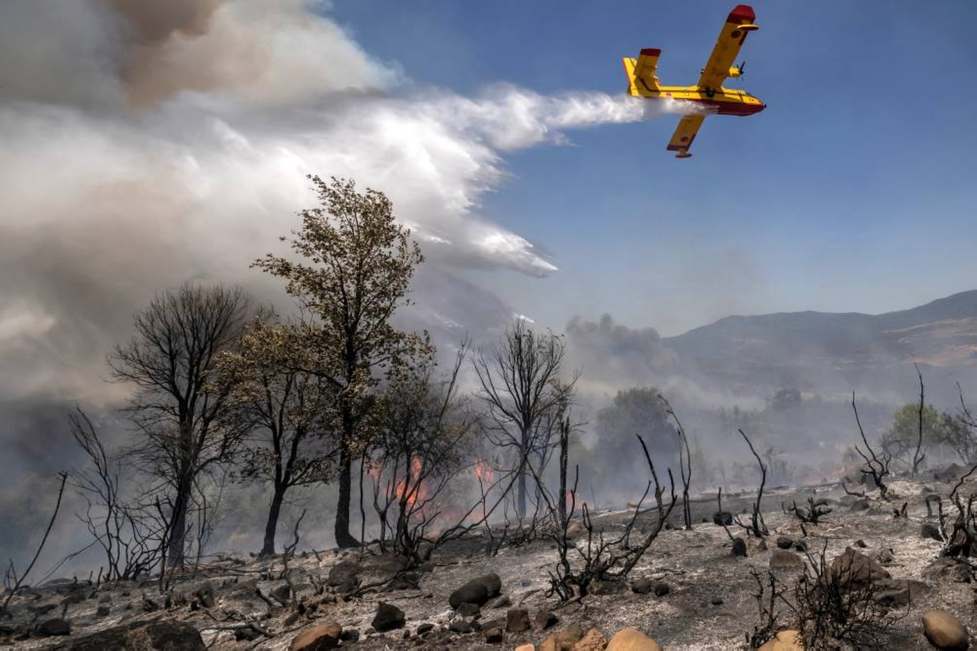 Feux de forêt : 6.420 ha ravagés par 395 incendies depuis le début de l'année