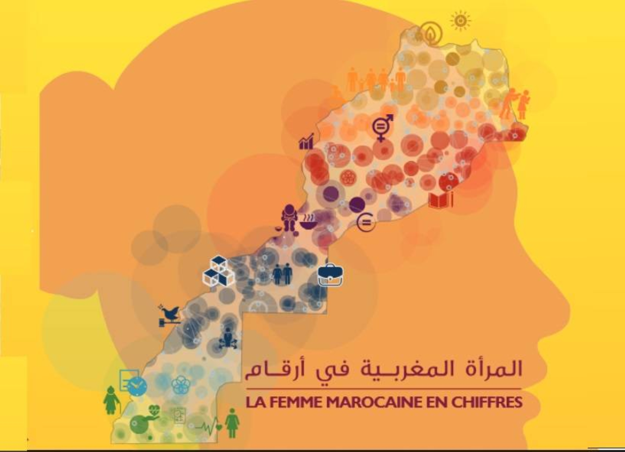 Journée nationale de la femme : voici les chiffres de 2023 du HCP