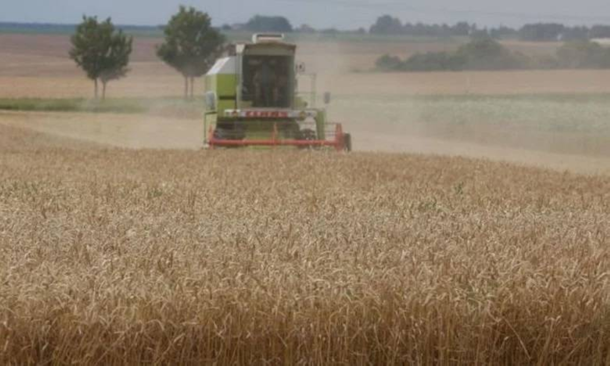 Risques climatiques : Le Maroc se dotera d’un système d’assurance indicielle pour protéger son agriculture