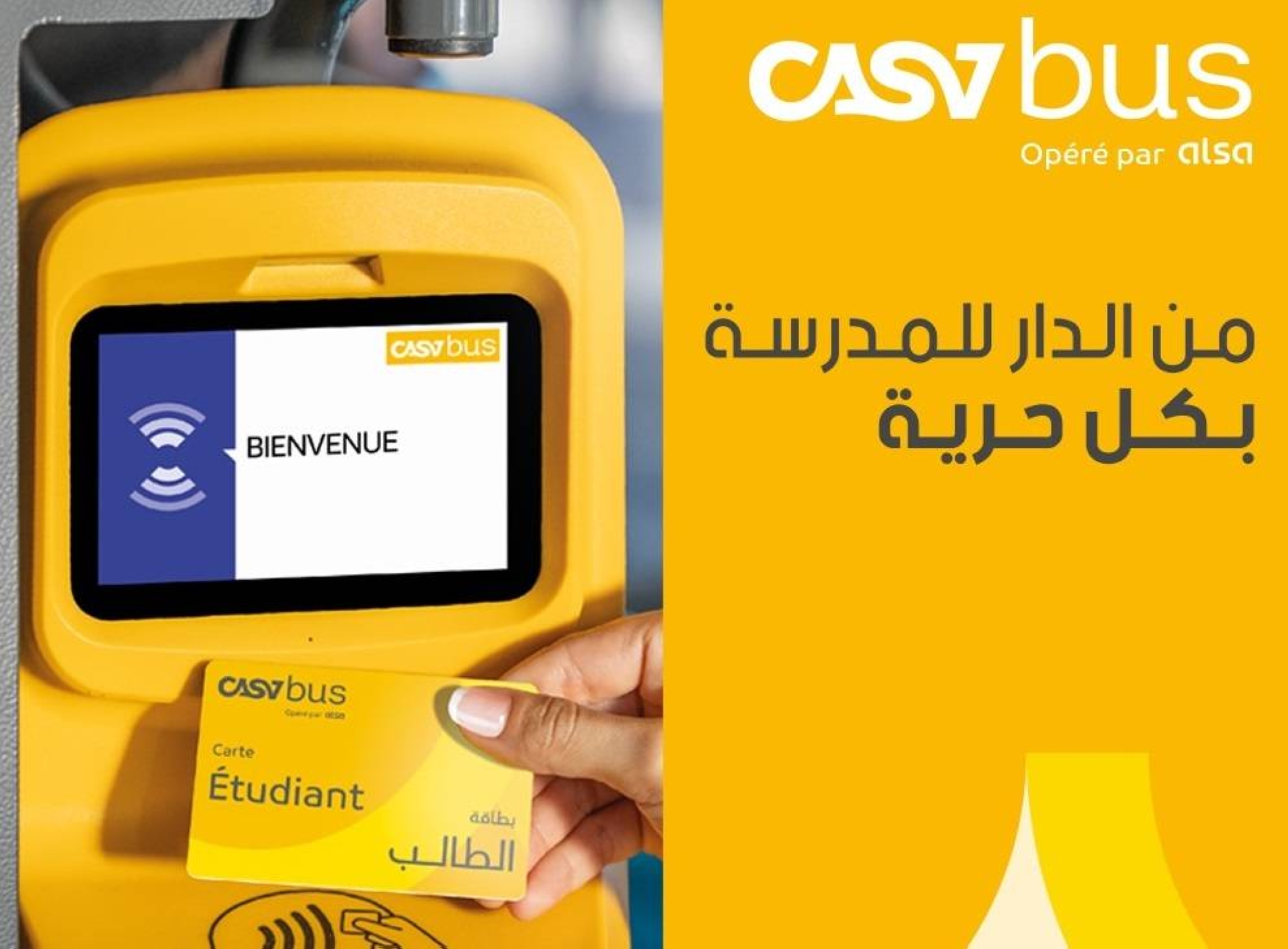 Alsa lance les inscriptions pour les cartes étudiants dans 6 villes 