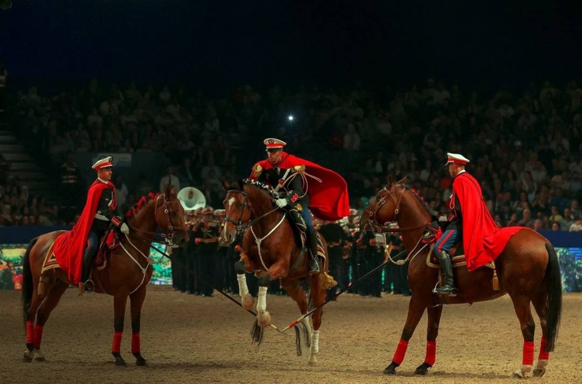 Séquence du spectacle nocturne d'équitation lors de la précédente édition du Salon.