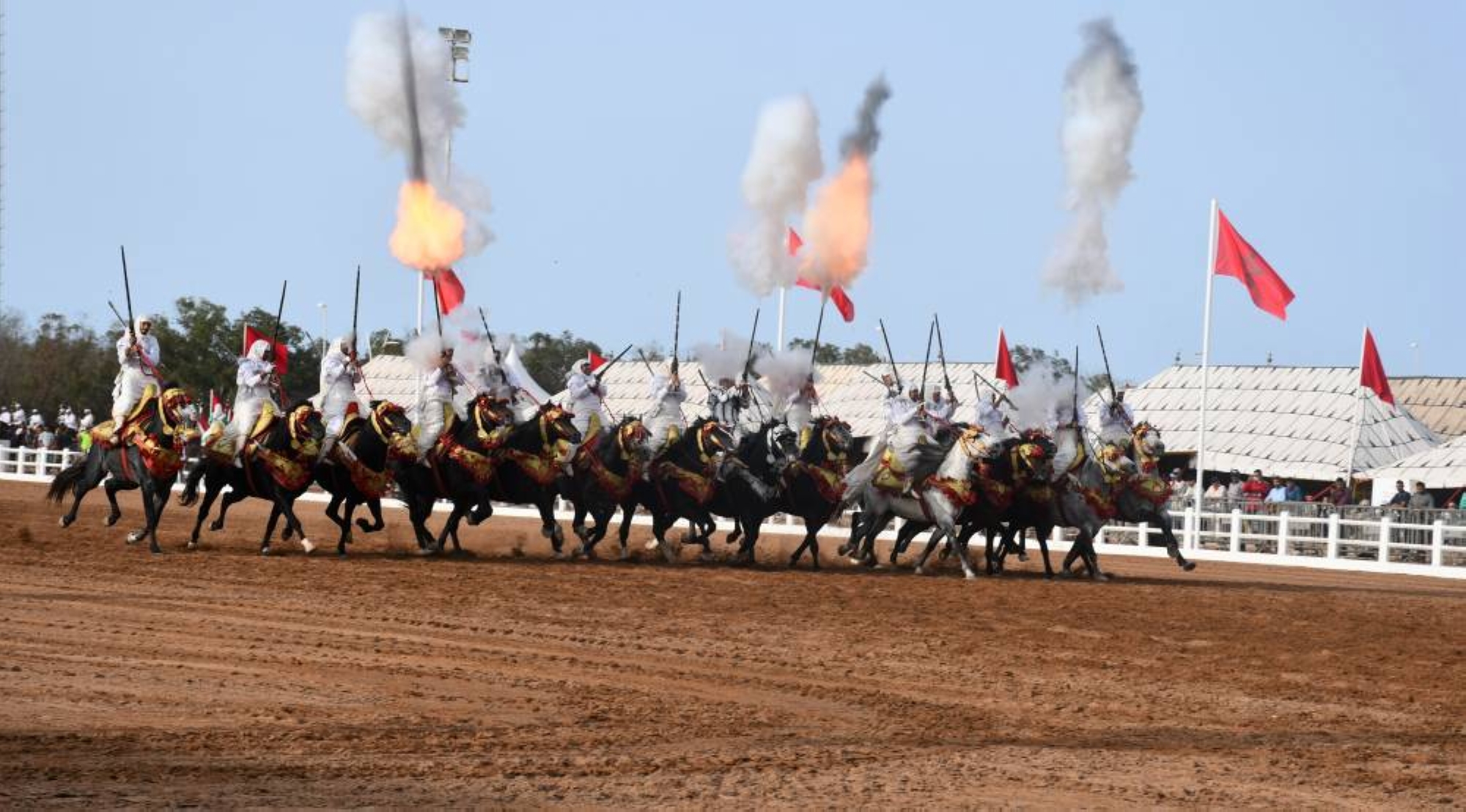 GP Mohammed VI de tbourida : la sorba de Casablanca-Settat remporte la 3e épreuve