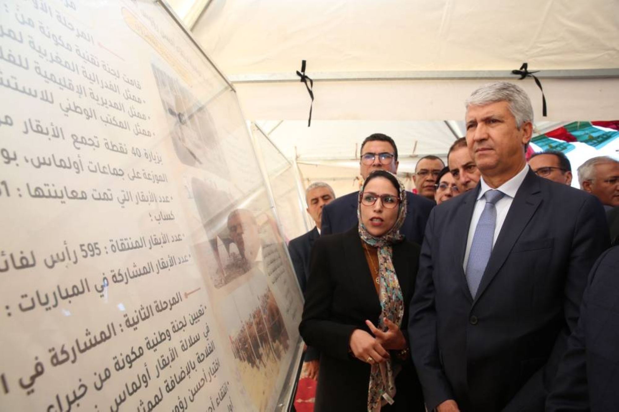 Bovins Oulmès-Zaer : Signature d'une convention pour élargir le cheptel à 15.000 têtes