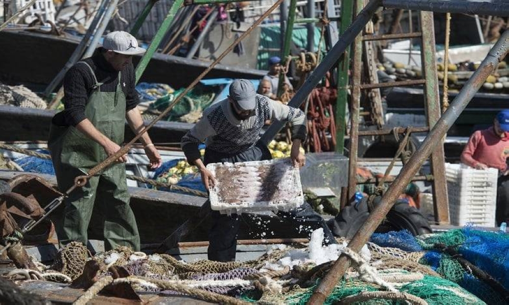 Économie bleue : Le Maroc concocte une stratégie intégrée pour libérer son potentiel