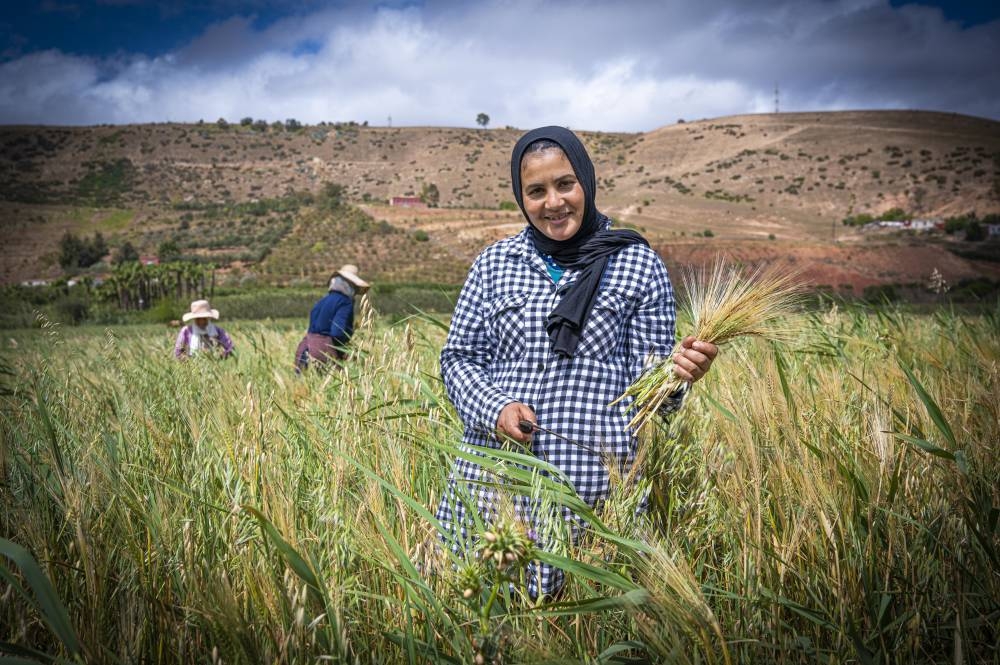 La R&D et l’innovation sociale au cœur des priorités de la Fondation OCP
