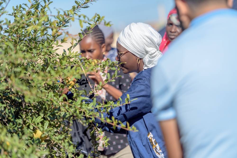 La R&D et l’innovation sociale au cœur des priorités de la Fondation OCP