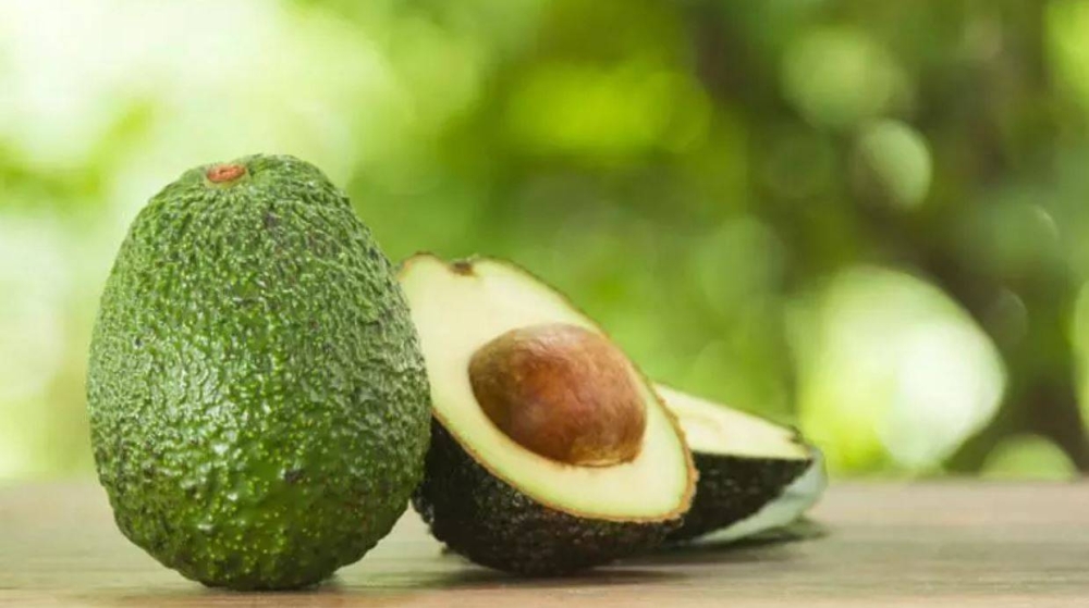 Avocat : Les importations marocaines devraient enregistrer un nouveau record en 2023