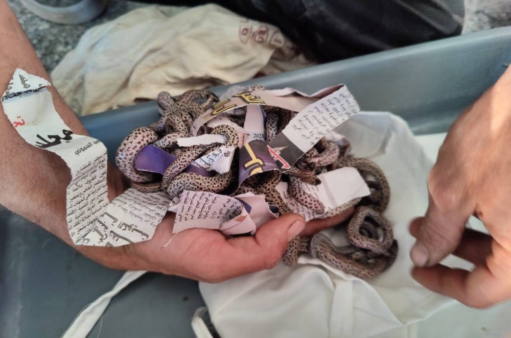 Trafic illégal d'animaux : Interception d'un important lot de reptiles à l'Aéroport de Marrakech