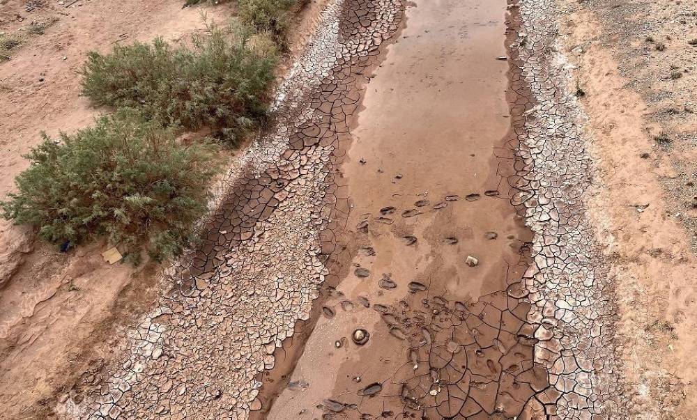 Pénurie d'eau : plus de 80 % de la surface agricole impactée