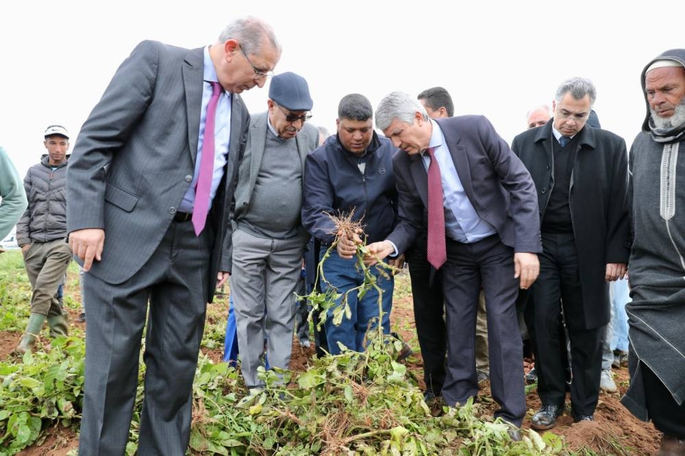 Agriculture : Sadiki visite des projets dans la région Tanger-Tétouan-Al Hoceima