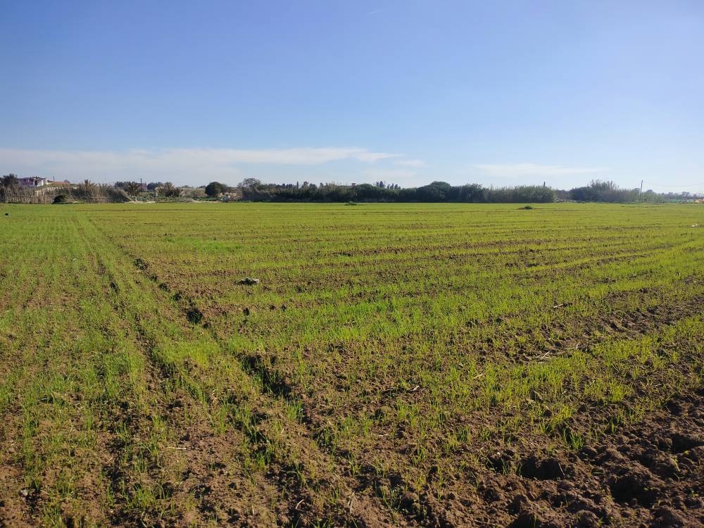 Stress hydrique: Le monde agricole en pleine détresse !