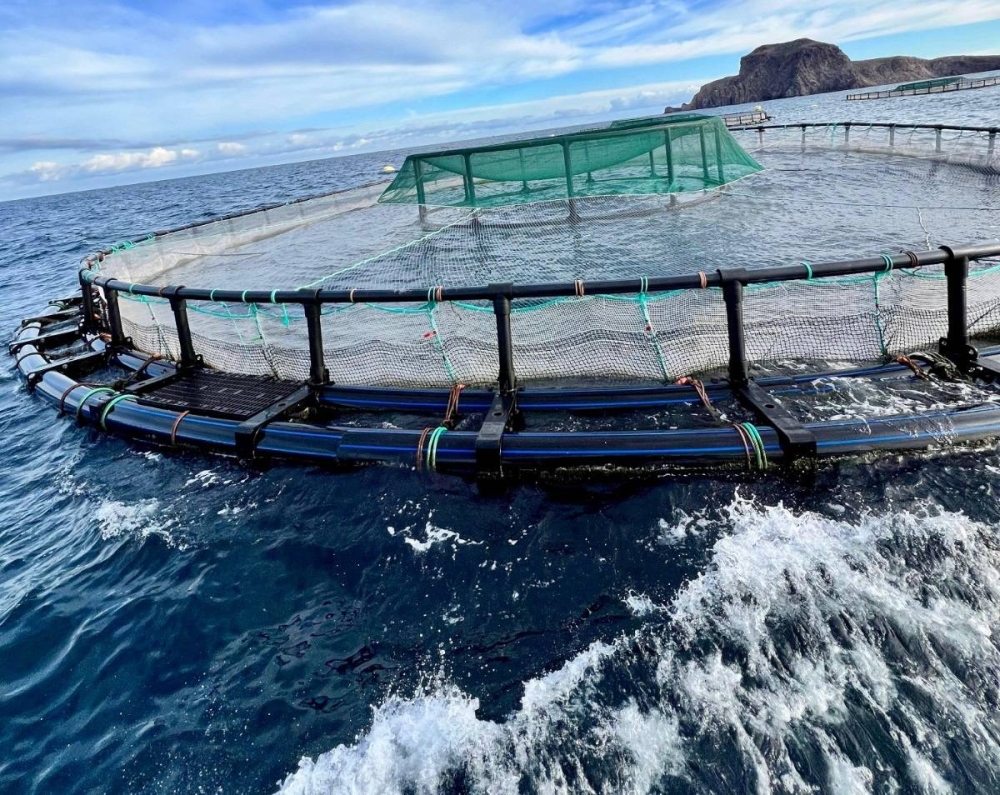 Nador : Sadiki s'enquiert de l’état d'avancement des projets aquacoles