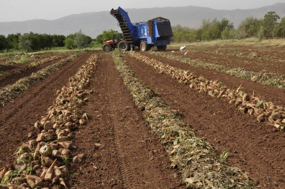 Comment le ministère de l’agriculture gère la pénurie d’eau et l’inflation