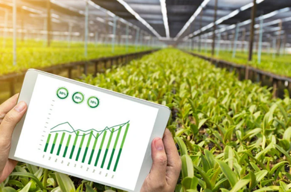 Le PNUD à la recherche de PME innovantes en croissance verte au Maroc