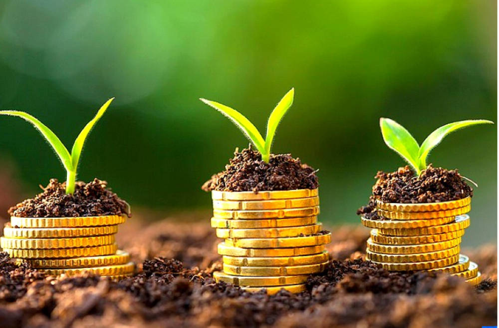 Le projet est le fruit de la collaboration entre le Programme de partenariat dano-arabe (DAPP) et le PNUD.