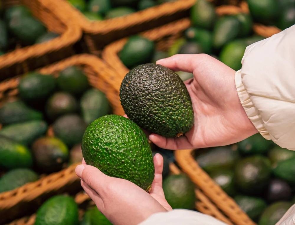 Avocats/Export : 70% de l'objectif atteint à deux mois de la fin de la saison 2023-2024