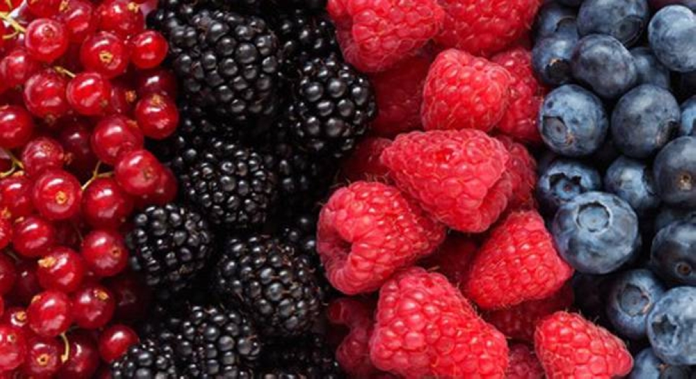 Exportations marocaines de baies : Hausse des revenus en 2023 malgré un repli des volumes