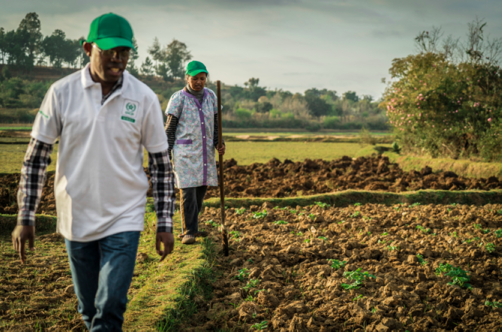 L’OCP et la BAD s'engagent pour la sécurité alimentaire au Sénégal