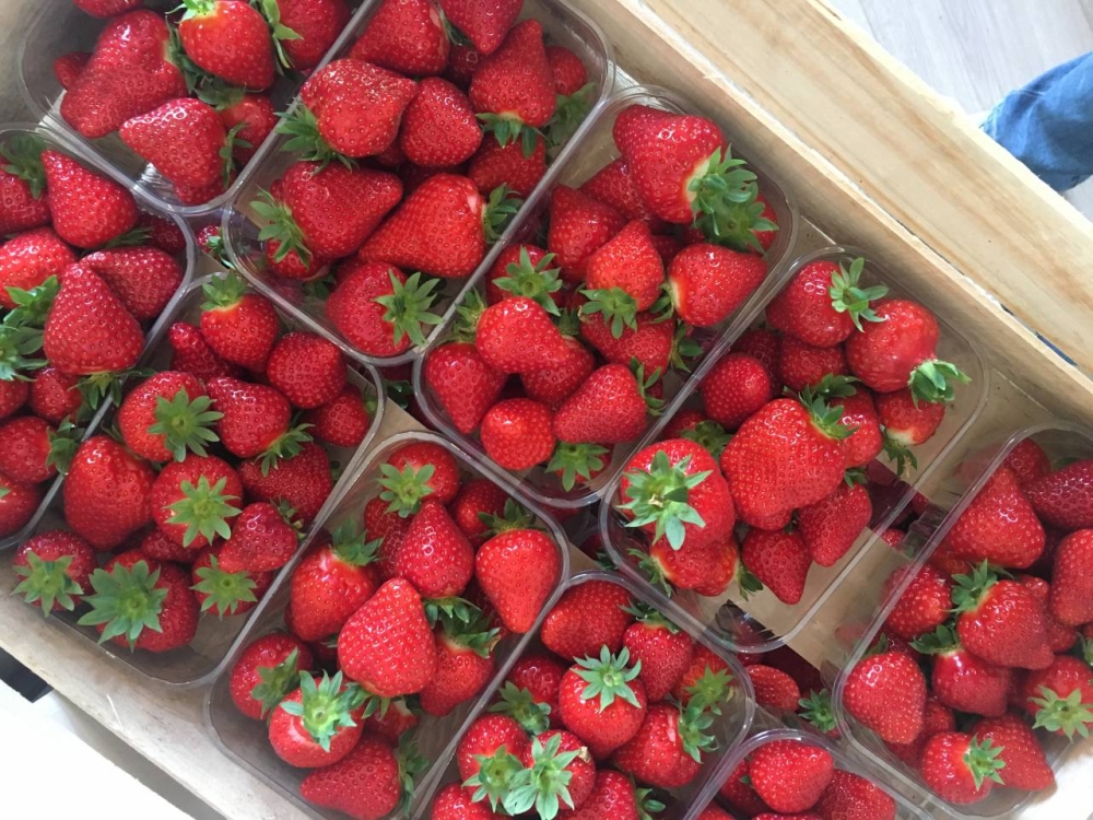 La fraise marocaine n'est pas contaminée à l’hépatite A (ONSSA)