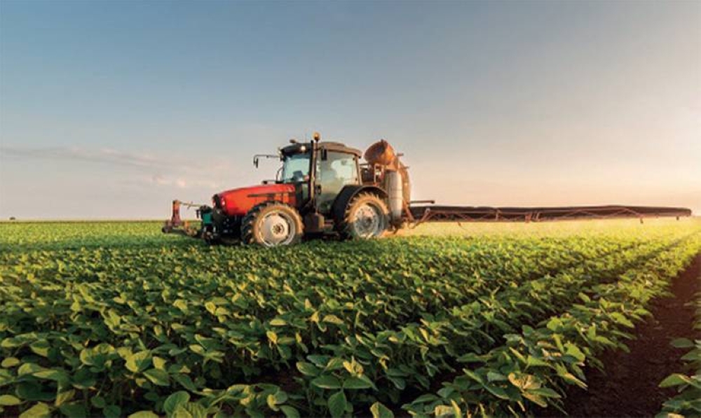 Casablanca-Settat : l'offre d'accompagnement des entrepreneurs en agriculture en préparation