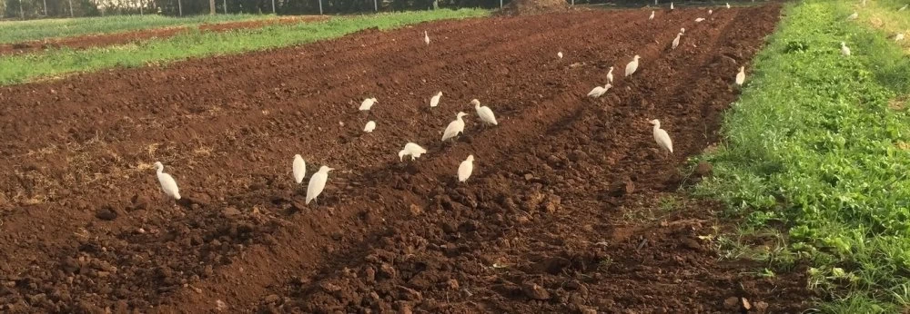 Sélection Le Matin : quatre idées pour un week-end bio