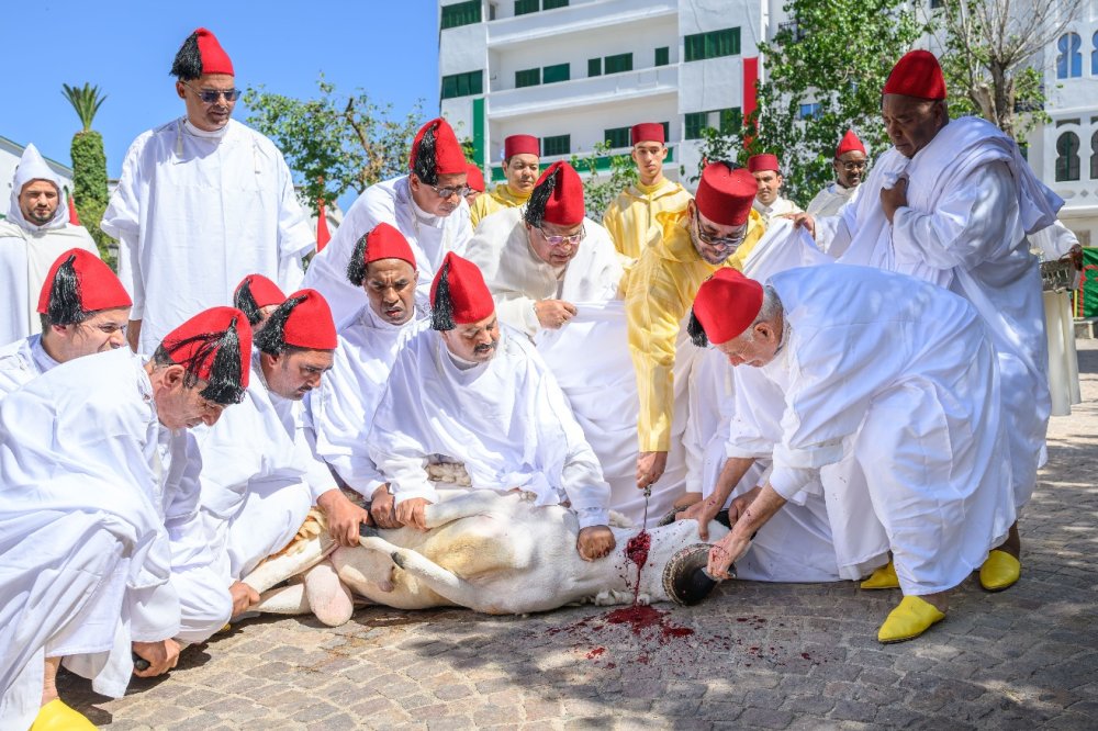 SM le Roi, Amir Al Mouminine, accomplit la prière de l’Aïd Al-Adha à la Mosquée Hassan II à Tétouan et reçoit les vœux à cette heureuse occasion