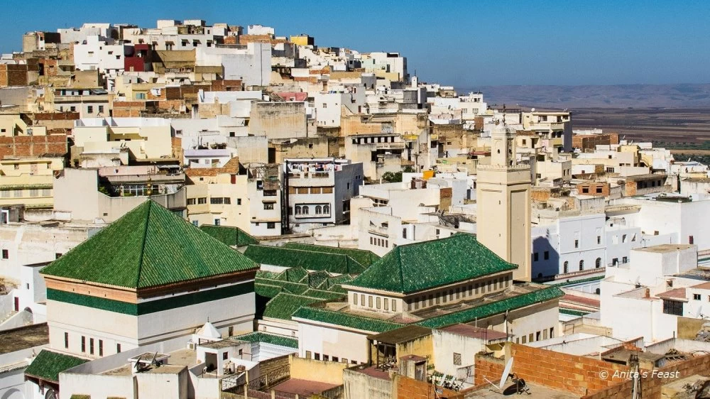 Moulay Idriss Zerhoun