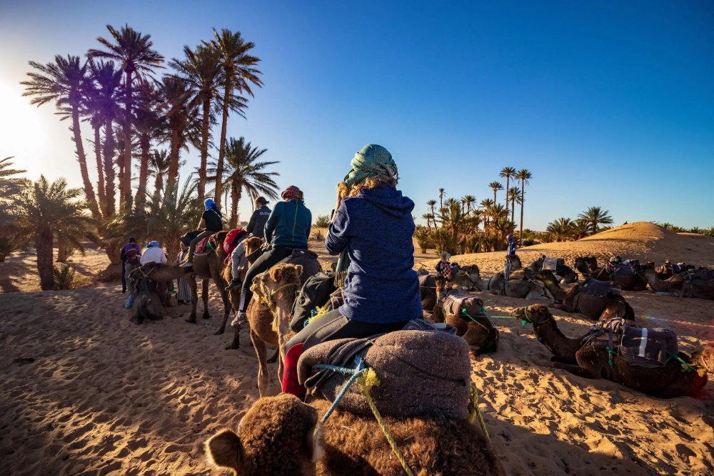 Les agences de voyages en déclin en plein boom du tourisme au Maroc !