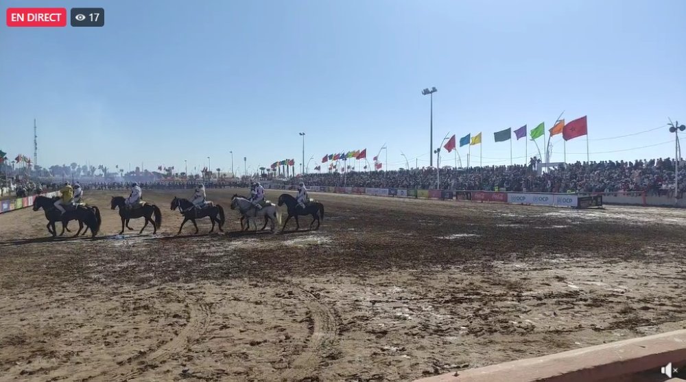 En direct d'El Jadida : le moussem Moulay Abdellah Amghar bat son plein