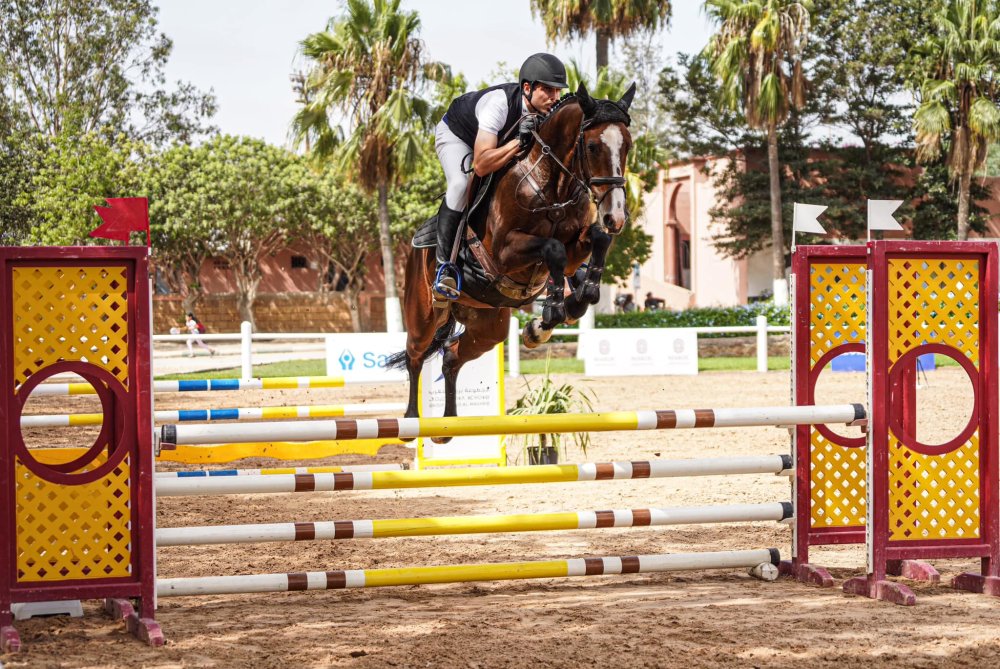 Saut d’obstacles : le Concours Officiel des Jeunes Chevaux 2024 programmé les 10 et 11 septembre à Rabat