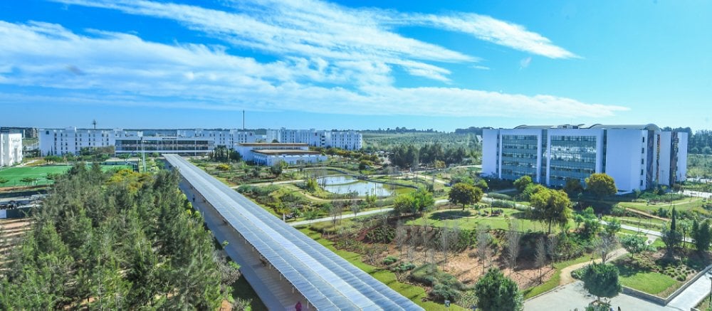 Six chercheurs marocains parmi les meilleurs scientifiques mondiaux (Classement 2024 de l'Université Stanford)