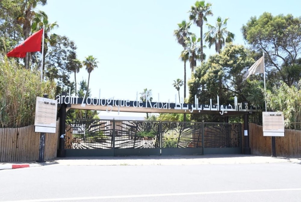 De nouvelles espèces animales au Jardin Zoologique National de Rabat