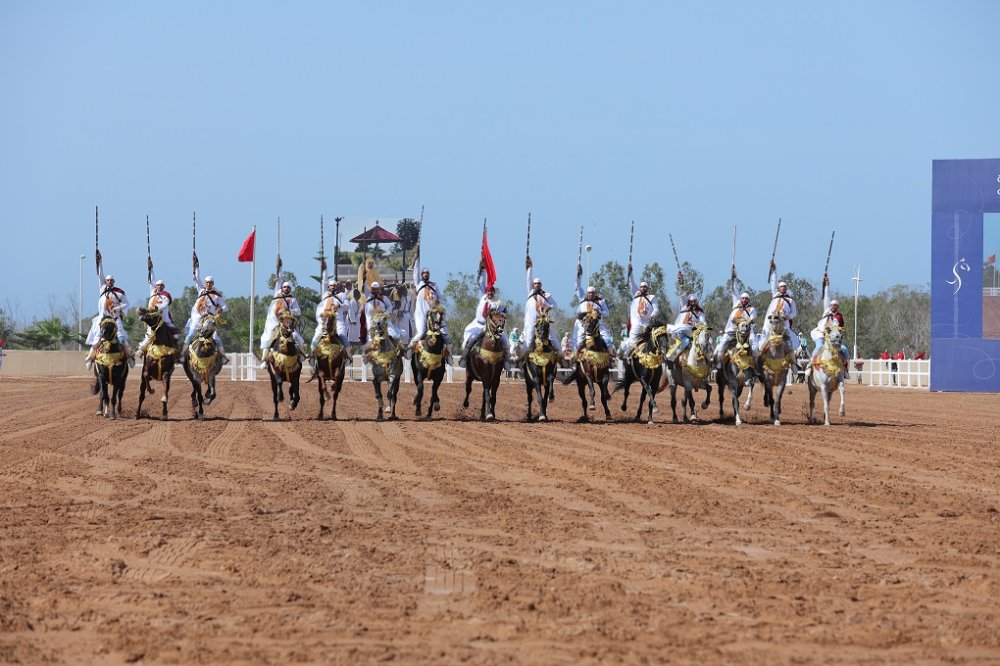 Grand Prix Mohammed VI de tbourida : 18 sorbas en compétition