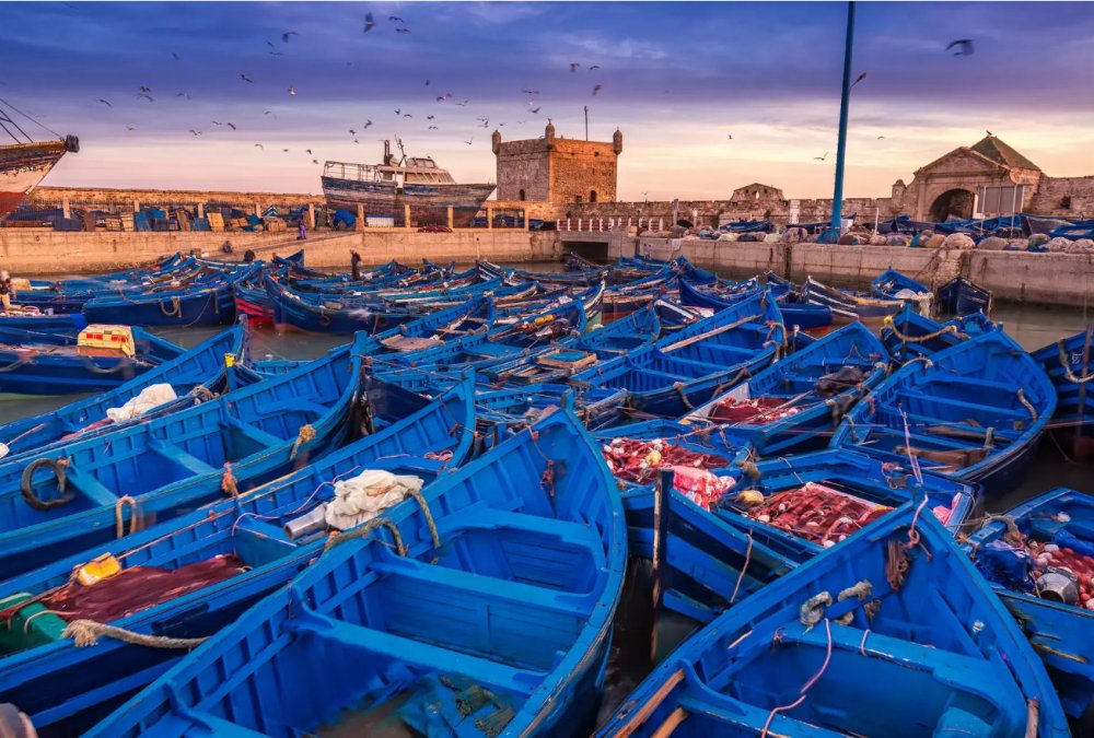 Essaouira, 2ème destination tendance pour les Allemands en 2025