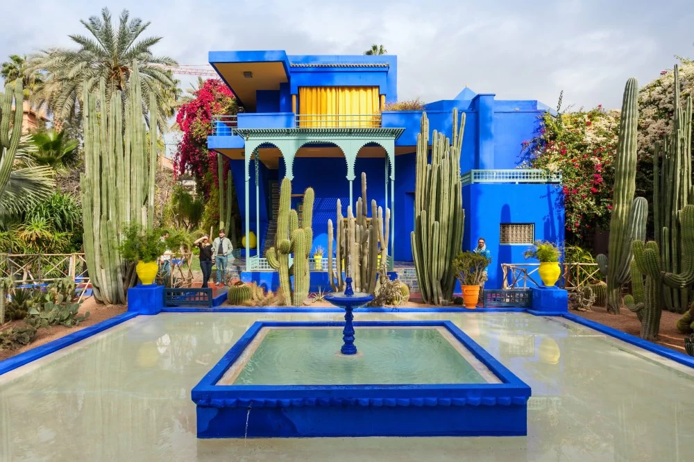 MARRAKECH, MOROCCO - FEBRUARY 22, 2016: The Majorelle Garden is a botanical garden and artist's landscape garden in Marrakech, Morocco.