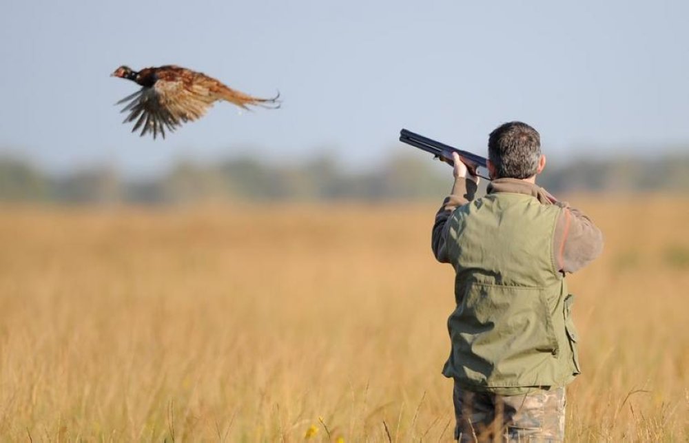 Comment le braconnage fragilise le secteur de la chasse au Maroc