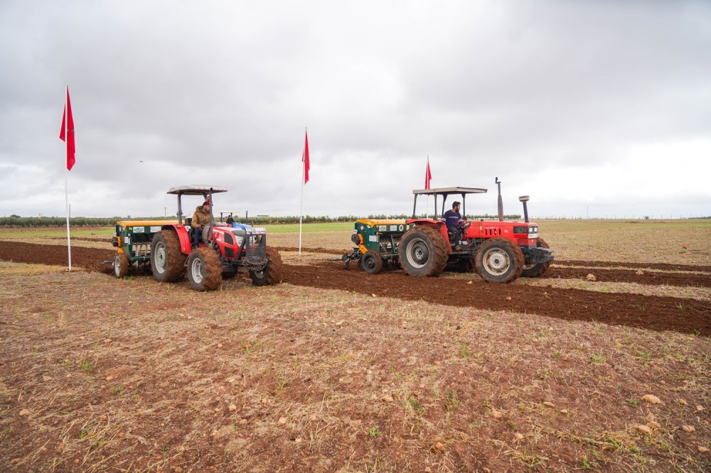 El Bouari donne le coup d'envoi de la campagne agricole 24-25