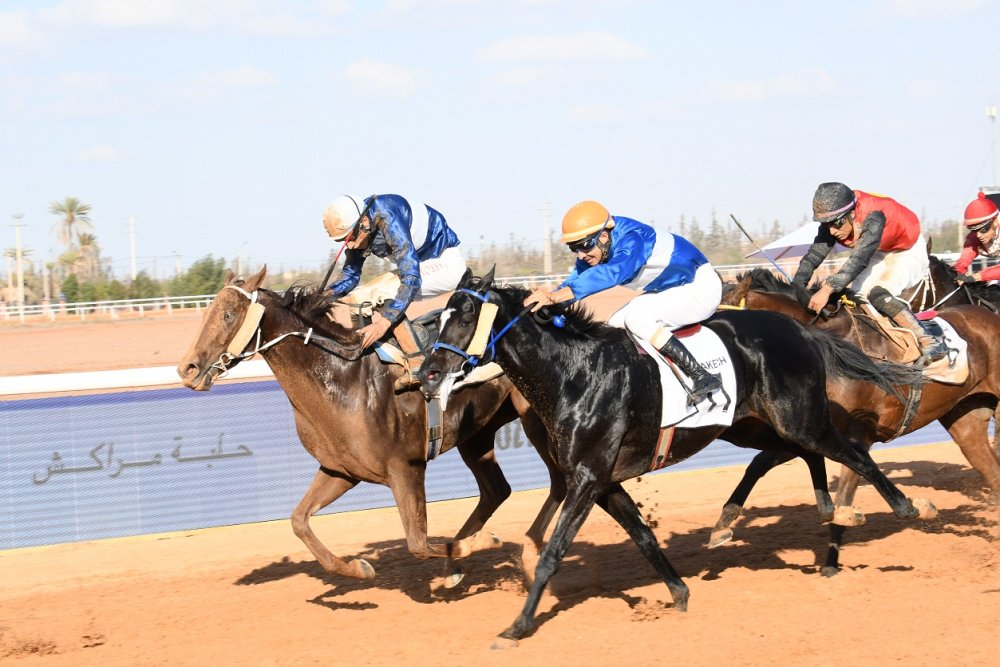 Grand Prix d’Afrique : la 3e édition rend son verdict à Marrakech