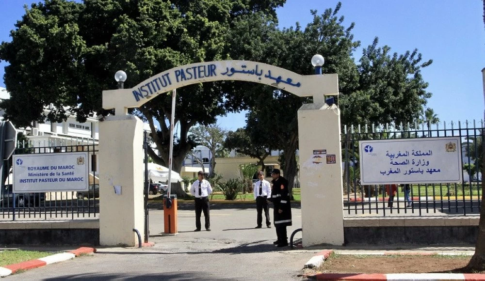 Une étude est en cours de réalisation pour la transformation de l’Institut pasteur du Maroc (IPM) en SA et la revue de son modèle économique.