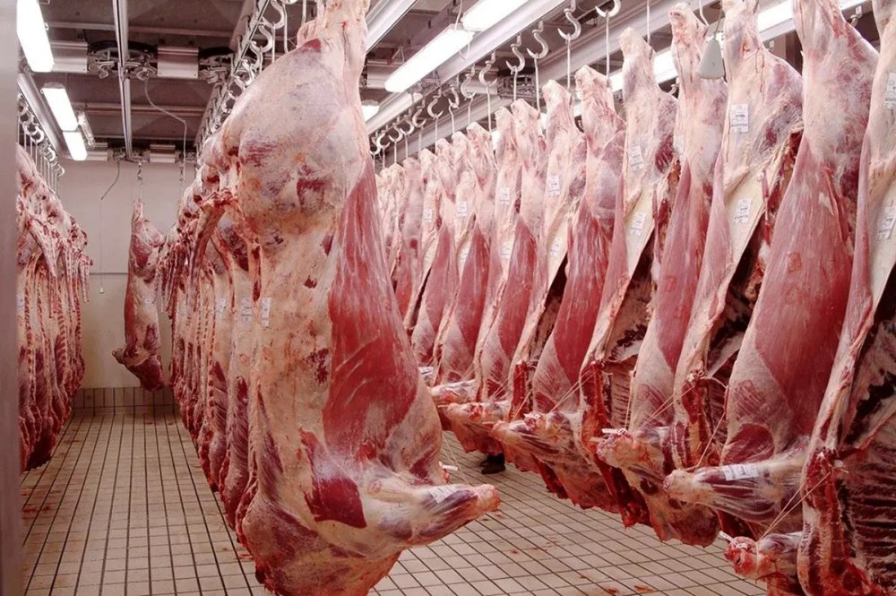 Les prix des viandes rouges repartent à la baisse aux abattoirs de Casablanca