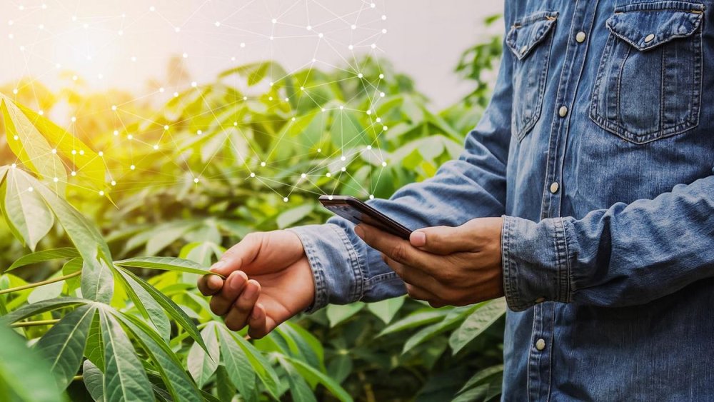 Agritech : OHB Venture Capital achève le financement du programme Green Earth Maroc