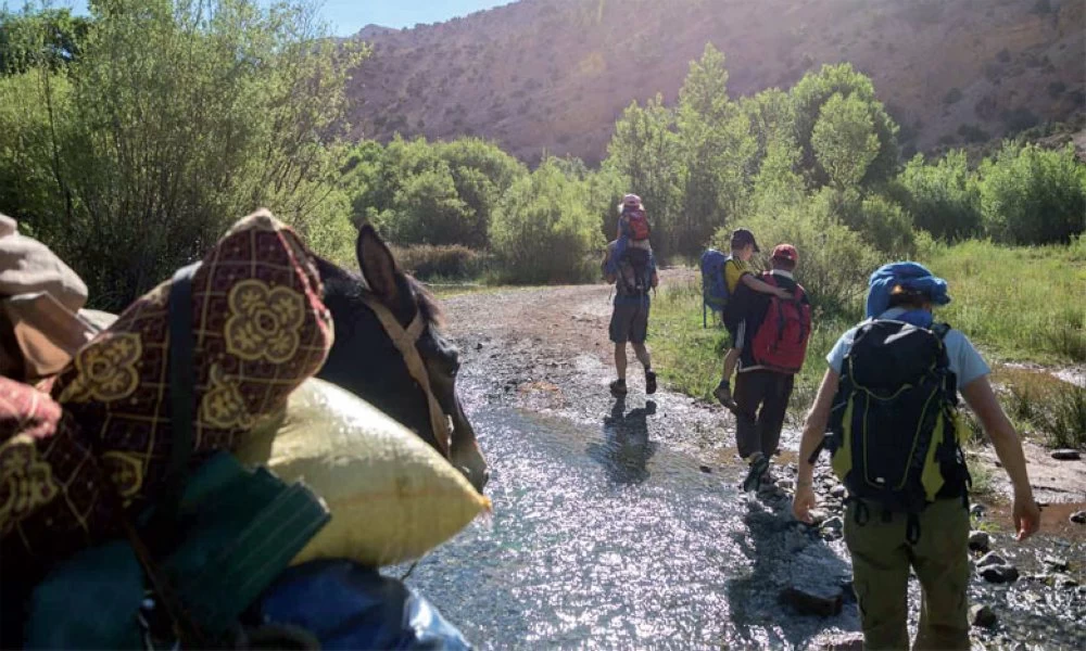 la nouvelle Feuille de route touristique 2024-2026 qui prévoit une valorisation des filières transverses à travers la valorisation de villages touristiques intégrés dans des zones rurales en partenariat avec les collectivités territoriales, partenaires associatifs et acteurs privés.