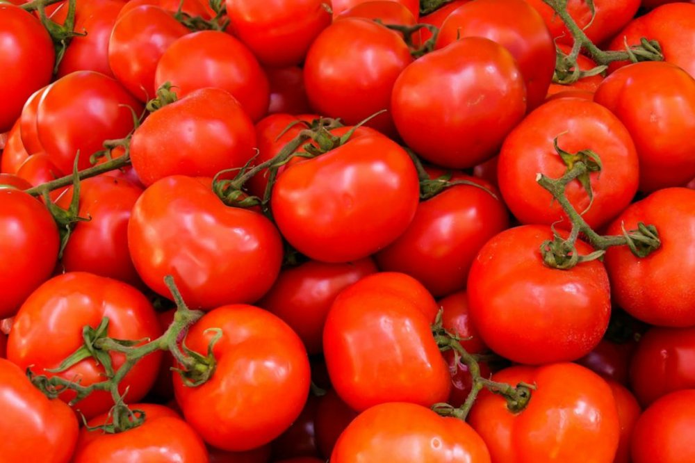 Flambée des prix des tomates au marché de gros de Casablanca