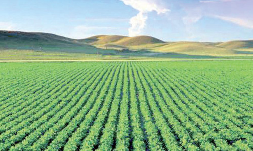 Un nouveau périmètre agricole irrigué à l’étude dans le Souss-Massa