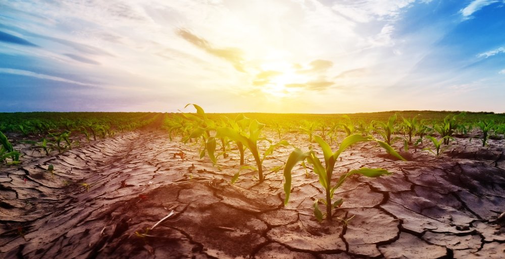 Pénurie d'eau et changements climatiques : le nouveau plan de bataille du ministère de l’Agriculture