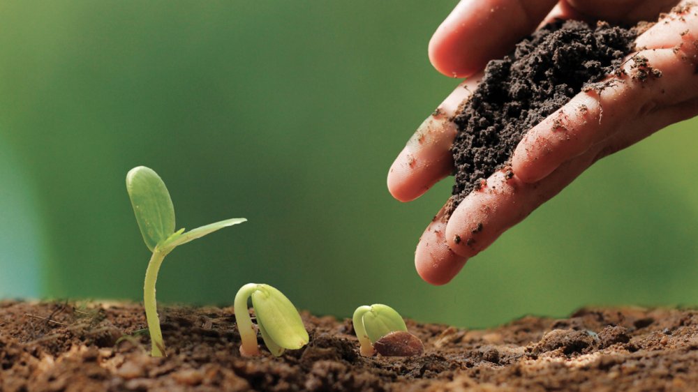 Souveraineté alimentaire : les pistes à explorer pour renforcer la résilience agricole