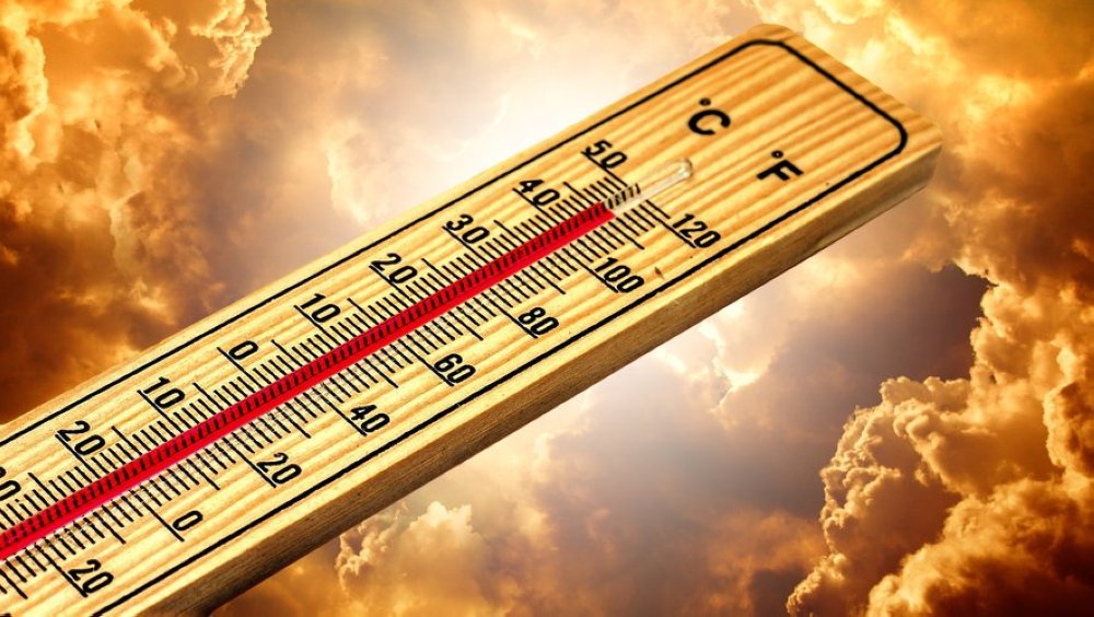 Espagne : 2024, troisième année la plus chaude depuis 1961 (Aemet)