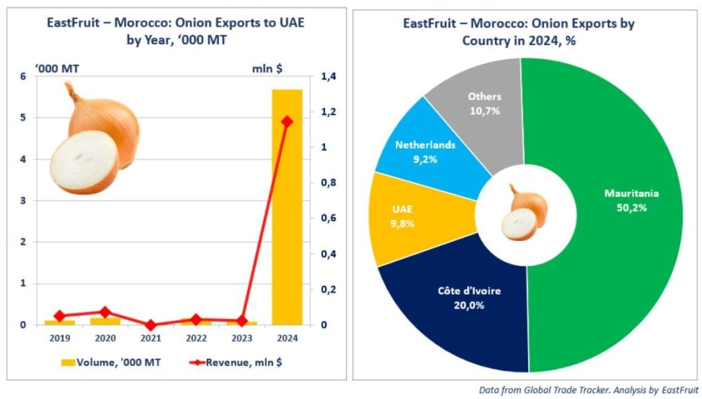 Record des exportations marocaines d’oignons vers les Emirats arabes unis en 2024