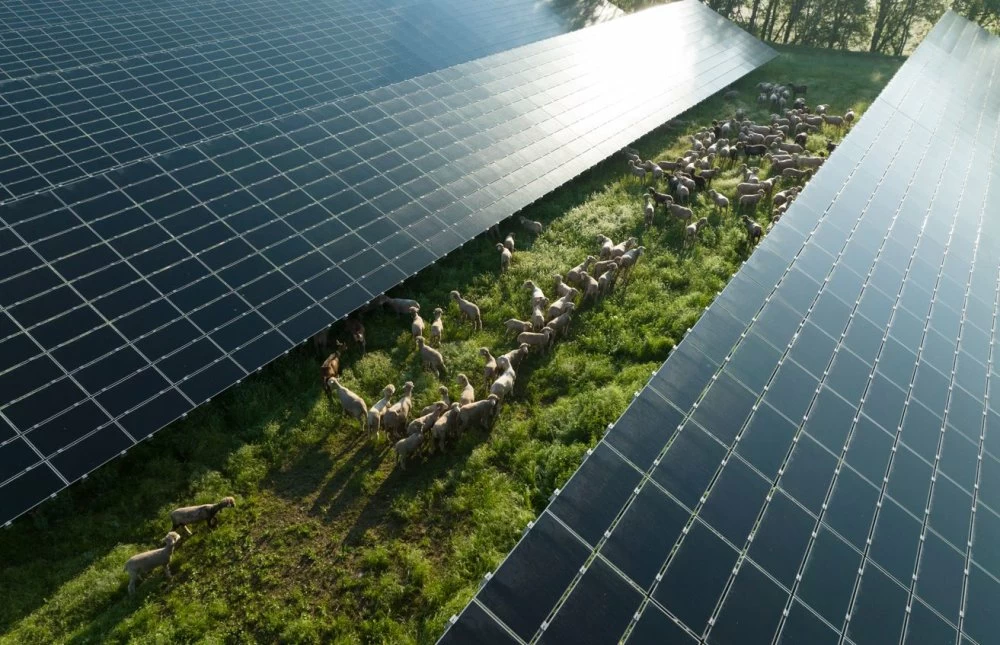 Green Forward s’inscrit dans une démarche de promotion d’une croissance économique durable et de l’innovation à travers un accompagnement intégré et des dynamiques de collaboration, en faveur d’une économie verte inclusive